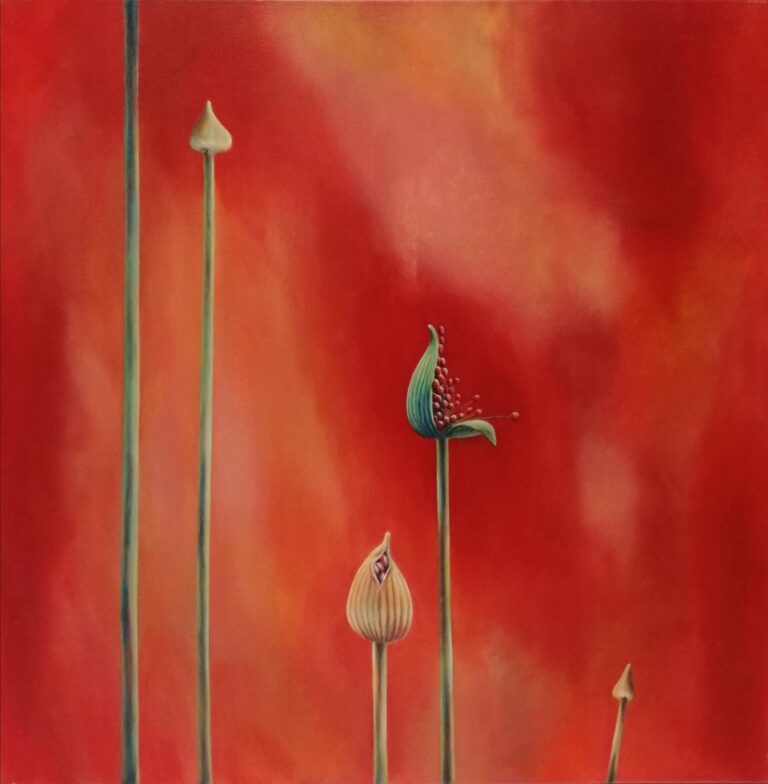 kunst breeklicht johanneke de ruiter, johanneke folkers